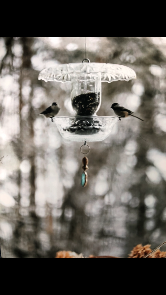 crystal bird feeder